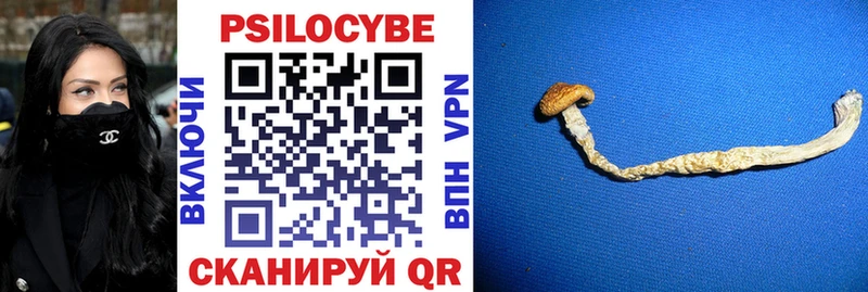Псилоцибиновые грибы Cubensis  Тихвин 